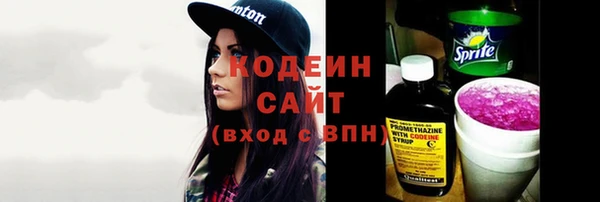 мет Карпинск
